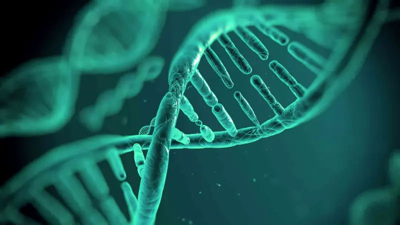 نقش ژنتیک در عملکرد ورزشی؛ آیا استعداد ورزشی ارثی است؟